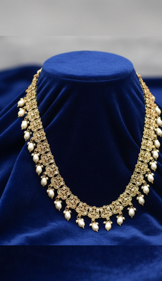 ANAYA Golden Long Haar - Long Haar Only