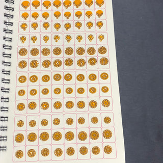 Ananya GOLDEN Swarovski Style FANCY Bindi Book (960 Bindis)