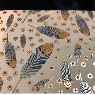 Peacock Feather Design Shagun Money Envelopes - 5s Pack